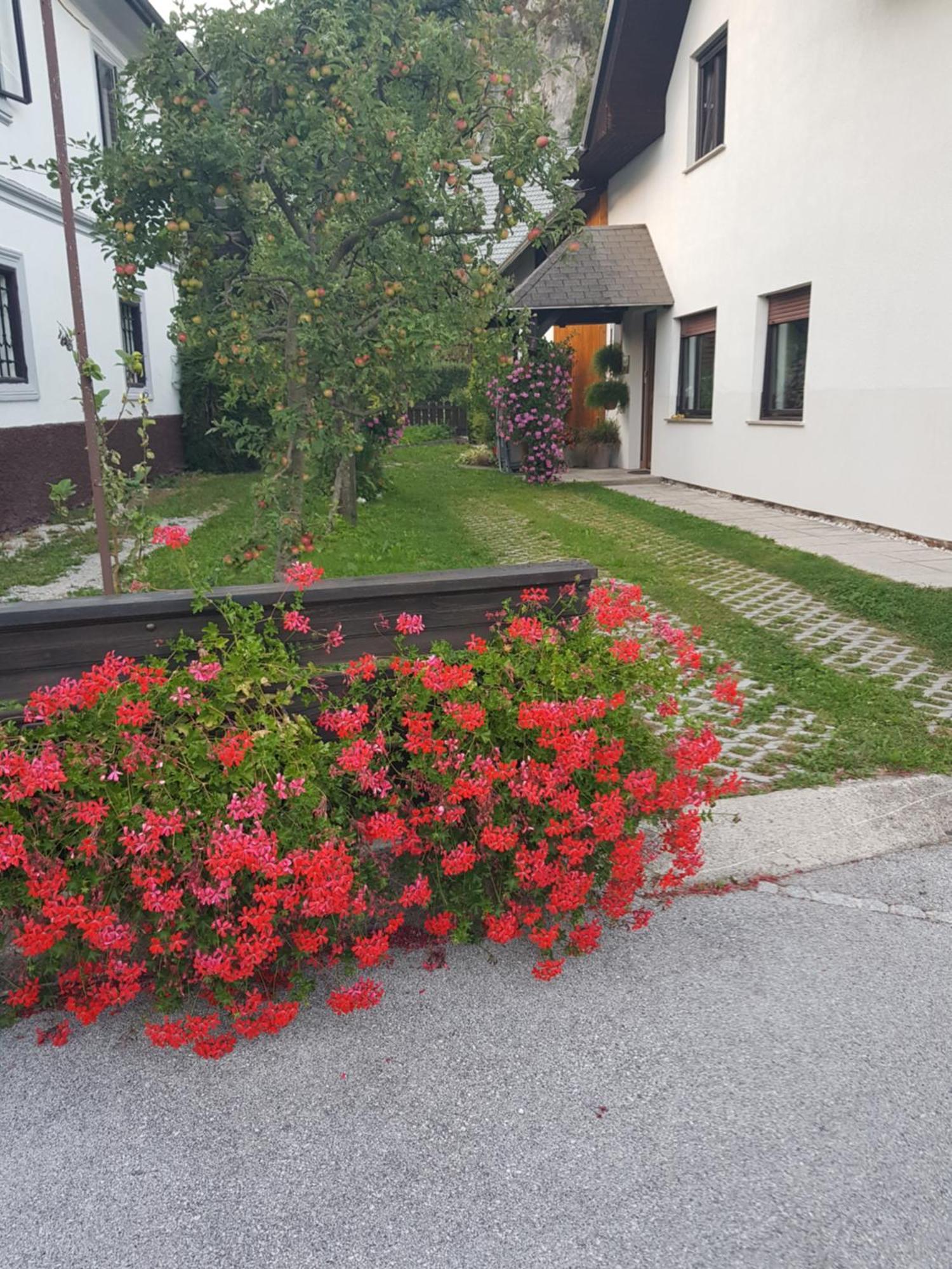 Apartments Gregorc Bled Exterior foto